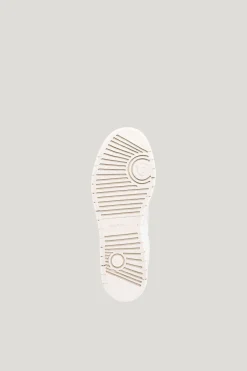 Ace '91 — Sneakers Dam/Herr